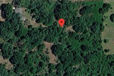 Land in Avon Park, Florida № 2161113 - photo 2