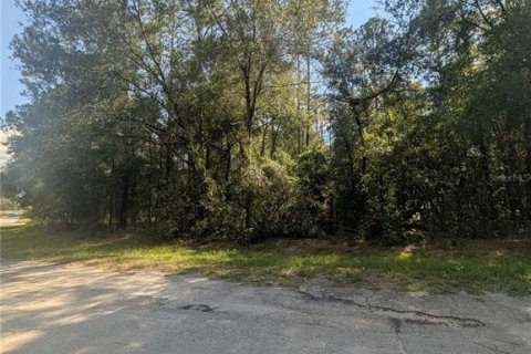 Terreno en venta en Citrus Springs, Florida № 2162154 - foto 7