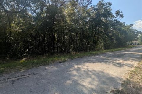 Terreno en venta en Citrus Springs, Florida № 2162154 - foto 9