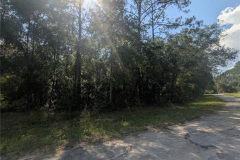 Terreno en venta en Citrus Springs, Florida № 2162154 - foto 6