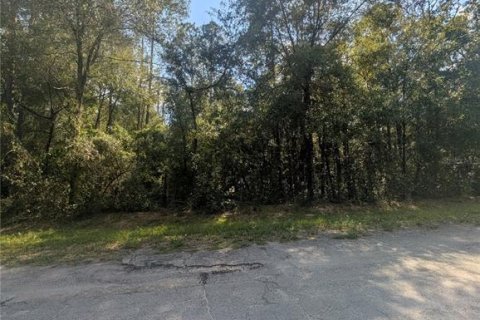 Terreno en venta en Citrus Springs, Florida № 2162154 - foto 8
