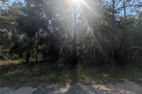 Terreno en venta en Citrus Springs, Florida № 2162154 - foto 5