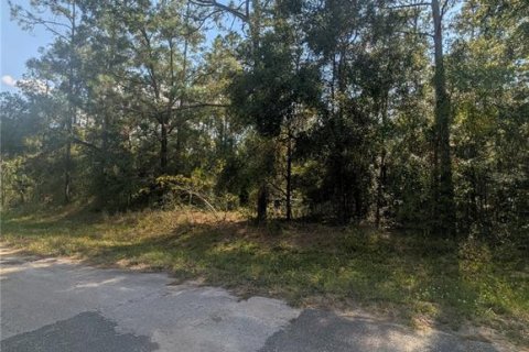 Terreno en venta en Citrus Springs, Florida № 2162154 - foto 4