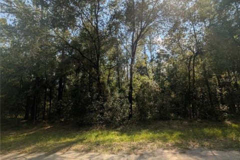 Terreno en venta en Citrus Springs, Florida № 2162154 - foto 3