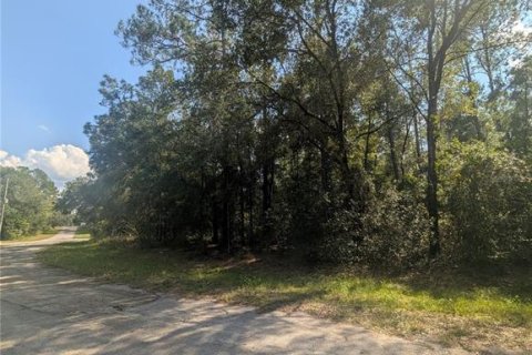 Terreno en venta en Citrus Springs, Florida № 2162154 - foto 2