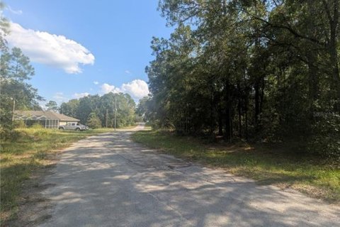Land in Citrus Springs, Florida № 2162154