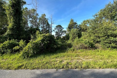 Terreno en Poinciana, Florida № 2164856