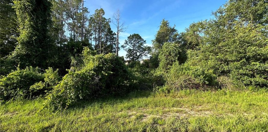 Terreno en Poinciana, Florida № 2164856