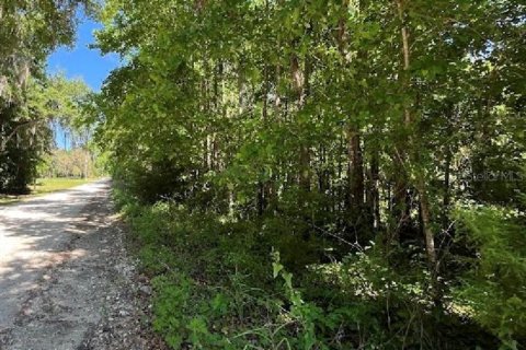 Terreno en Williston, Florida № 2224704