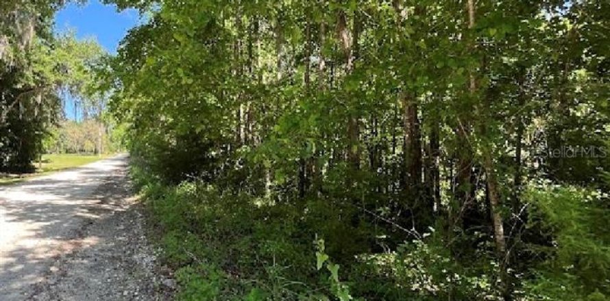 Terreno en Williston, Florida № 2224704