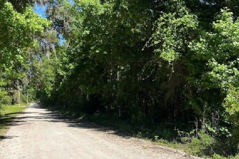 Terreno en venta en Williston, Florida № 2224704 - foto 4