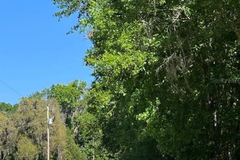 Terreno en venta en Williston, Florida № 2224704 - foto 3