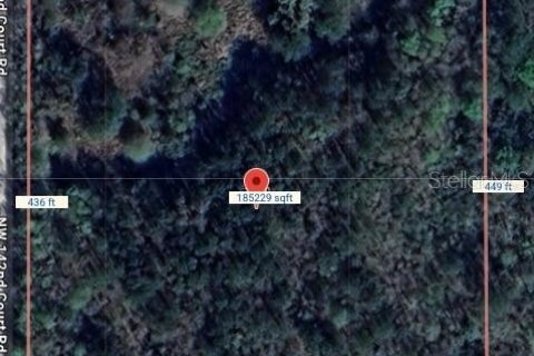 Terreno en venta en Williston, Florida № 2224704 - foto 10