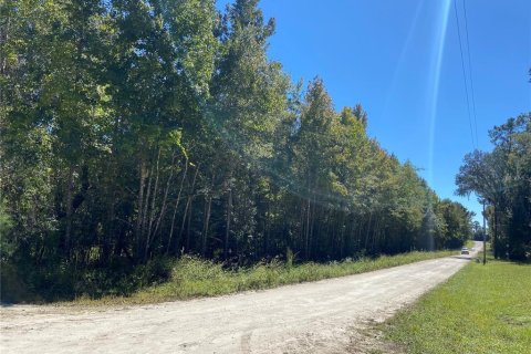 Terreno en venta en Williston, Florida № 2224704 - foto 6
