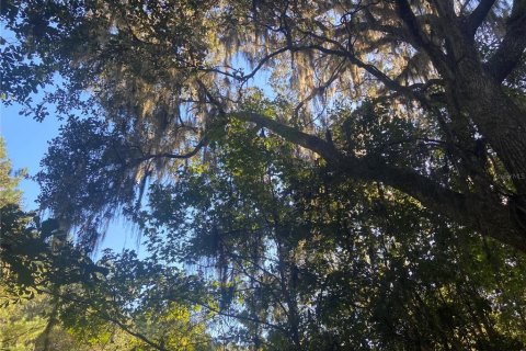Terreno en venta en Williston, Florida № 2224704 - foto 8