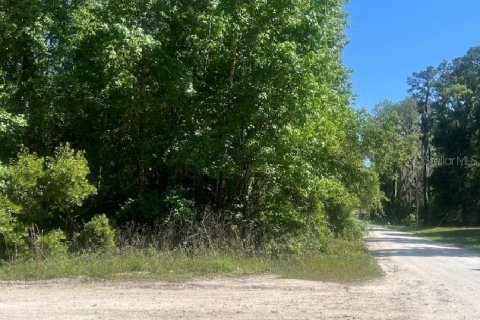 Terreno en venta en Williston, Florida № 2224704 - foto 2