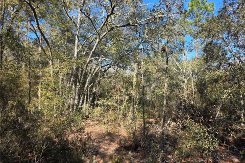 Land in Bronson, Florida № 2161915 - photo 6