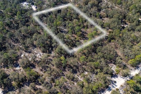 Land in Bronson, Florida № 2161915 - photo 4