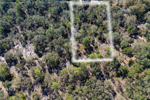 Land in Bronson, Florida № 2161915 - photo 3