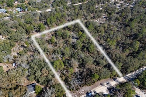 Land in Bronson, Florida № 2161915 - photo 5