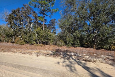 Land in Bronson, Florida № 2161915 - photo 8