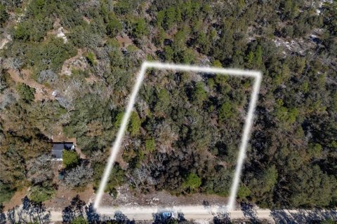 Land in Bronson, Florida № 2161915 - photo 2