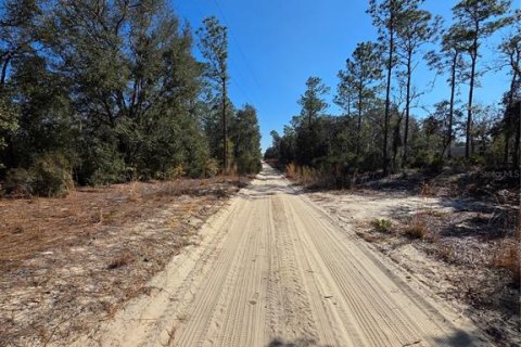 Land in Bronson, Florida № 2161915 - photo 10