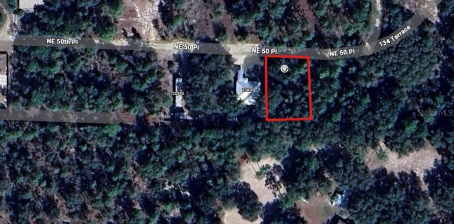 Terrain à Williston, Floride № 2160448