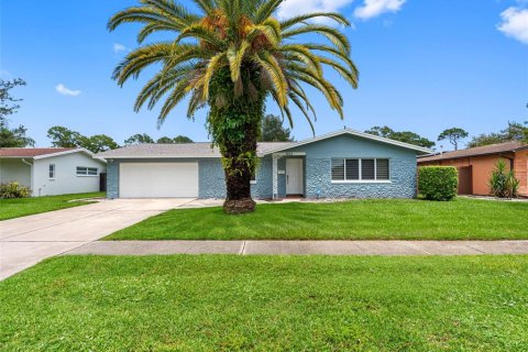 Villa ou maison à vendre à Clearwater, Floride: 5 chambres, 207.08 m2 № 1826629 - photo 2