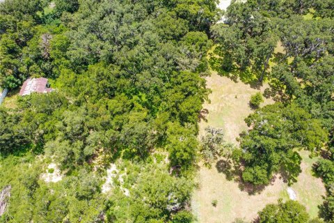 Land in Lakeland, Florida № 1843576 - photo 2