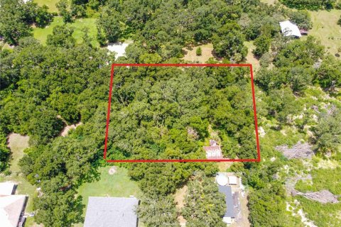 Land in Lakeland, Florida № 1843576 - photo 6