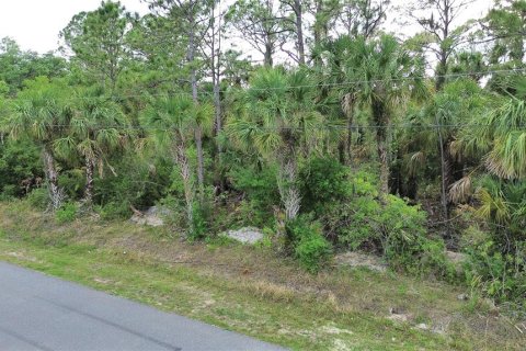 Land in North Port, Florida № 2160587 - photo 4