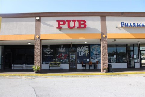 Commercial property in Port Richey, Florida 169.08 sq.m. № 2207022