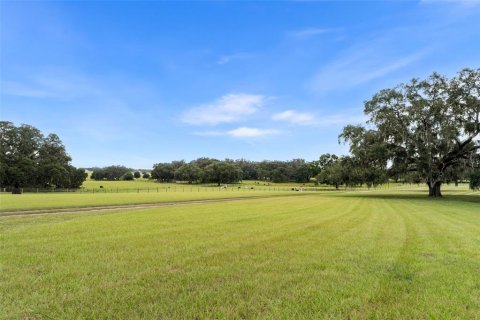 House in Morriston, Florida 3 bedrooms, 204.38 sq.m. № 2102702 - photo 5
