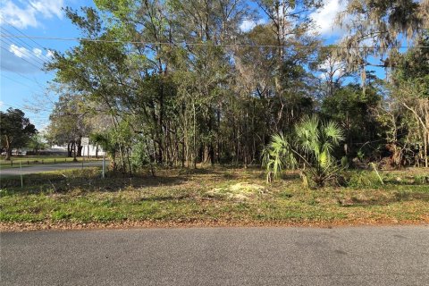 Land in Gainesville, Florida № 2205860