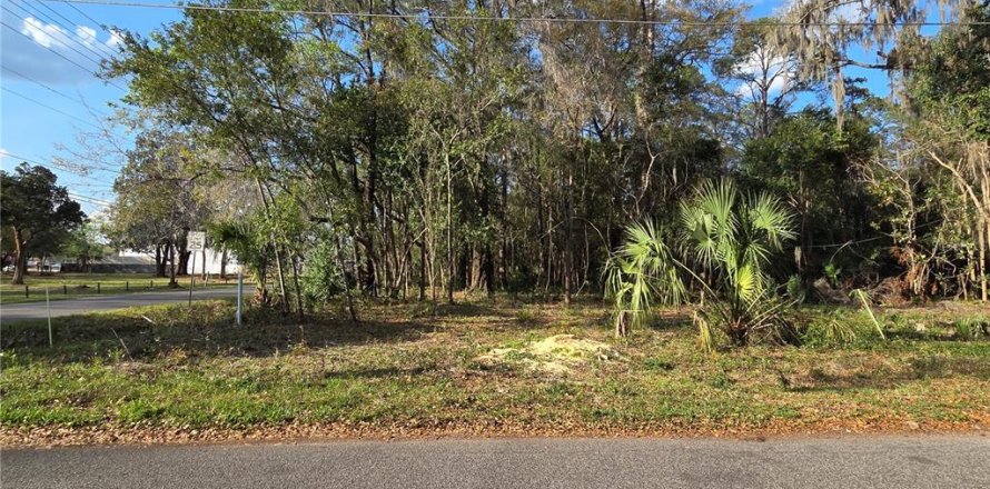 Terrain à Gainesville, Floride № 2205860