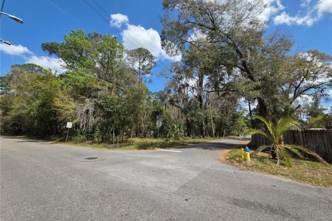 Terrain à vendre à Gainesville, Floride № 2205860 - photo 2
