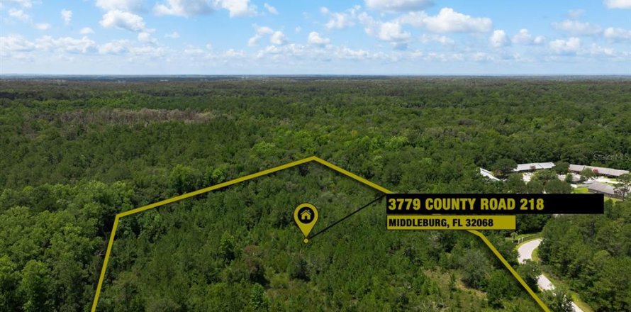 Terrain à Middleburg, Floride № 2222119