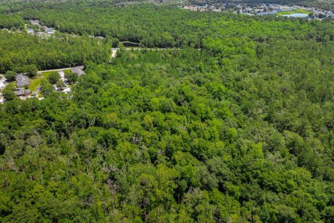 Terrain à vendre à Middleburg, Floride № 2222119 - photo 20