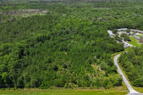 Terrain à vendre à Middleburg, Floride № 2222119 - photo 28