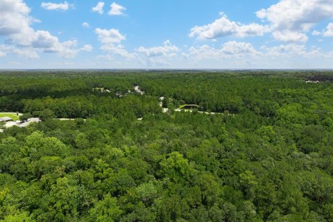 Terrain à vendre à Middleburg, Floride № 2222119 - photo 6