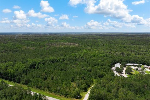 Terrain à vendre à Middleburg, Floride № 2222119 - photo 8
