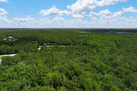 Terrain à vendre à Middleburg, Floride № 2222119 - photo 5