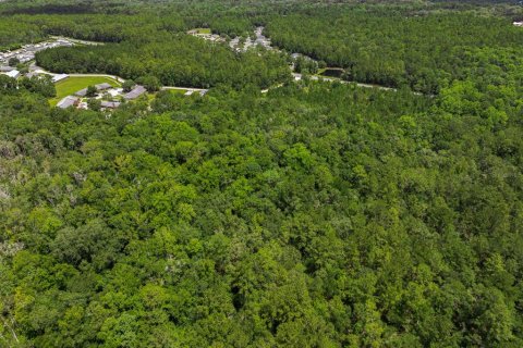 Terrain à vendre à Middleburg, Floride № 2222119 - photo 22