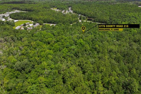 Terrain à vendre à Middleburg, Floride № 2222119 - photo 21