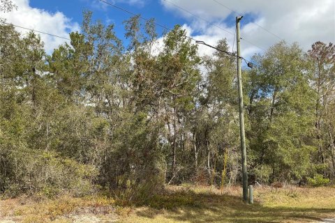 Terrain à vendre à Ocklawaha, Floride № 2258402 - photo 3