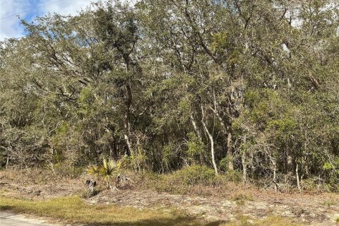 Terrain à vendre à Ocklawaha, Floride № 2258402 - photo 4