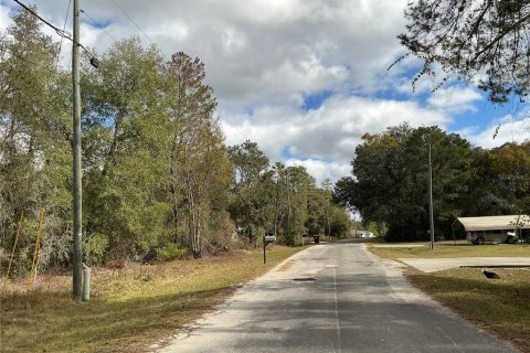 Terrain à vendre à Ocklawaha, Floride № 2258402 - photo 6