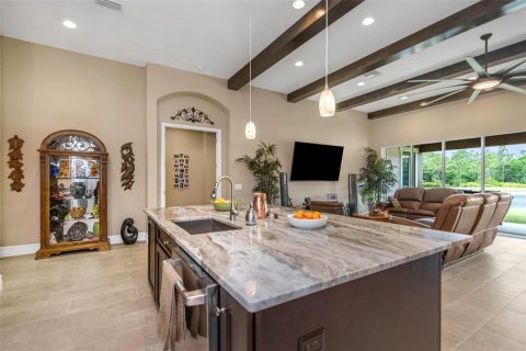 Villa ou maison à vendre à New Port Richey, Floride: 4 chambres, 265.05 m2 № 2196870 - photo 15