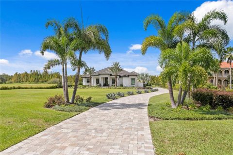 House in Thonotosassa, Florida 5 bedrooms, 502.51 sq.m. № 2213759